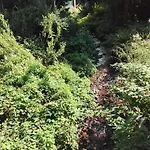 Hochwald Balkon Appartement