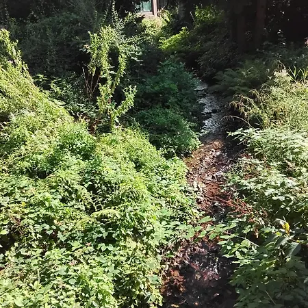 Hochwald Balkon Appartamento