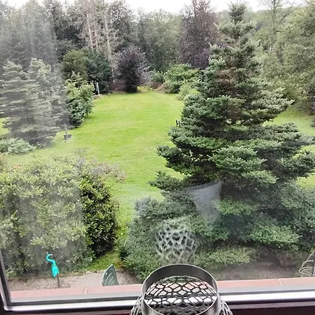 Апартаменты Hochwald Balkon Бад-Закса