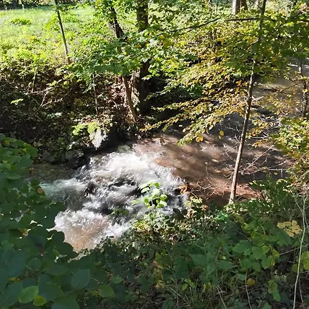 Hochwald Balkon * Bad Sachsa