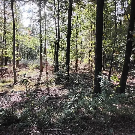 Hochwald Balkon Appartamento Bad Sachsa