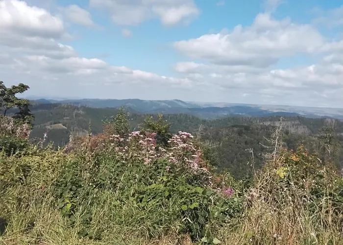 Hochwald Balkon 公寓