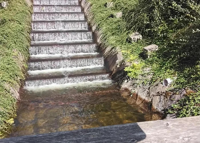 公寓 Hochwald Balkon *