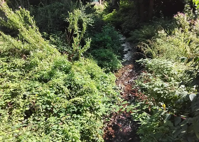 Hochwald Balkon 公寓