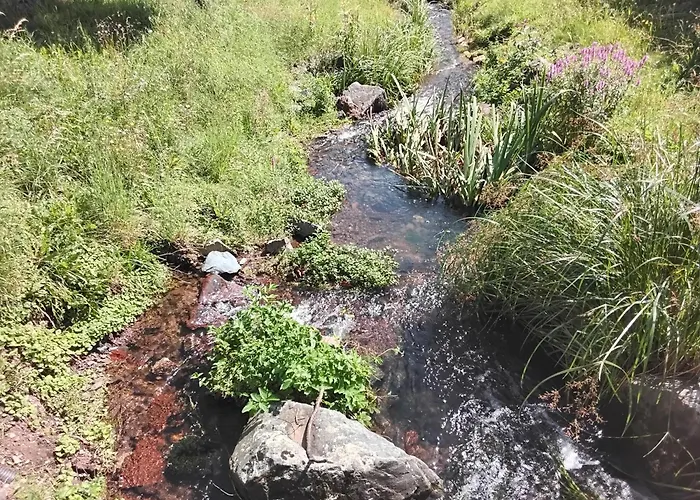 公寓 Hochwald Balkon