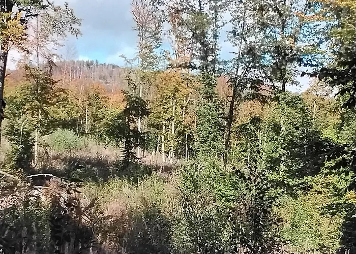 Hochwald Balkon 巴特萨克萨