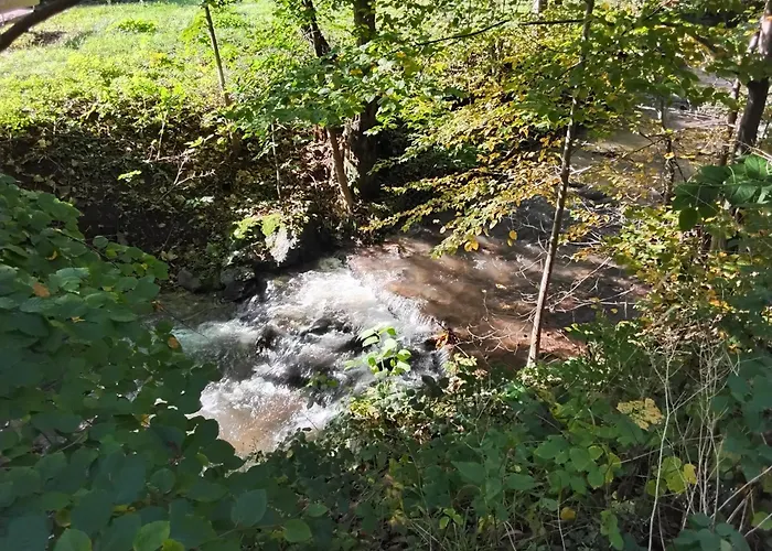 Hochwald Balkon * 巴特萨克萨