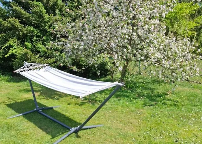 Hochwald Balkon 公寓