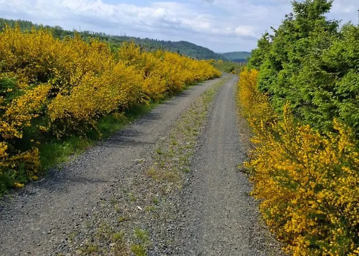 Hochwald Balkon * 巴特萨克萨