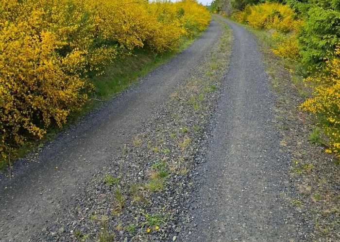 公寓 Hochwald Balkon 巴特萨克萨